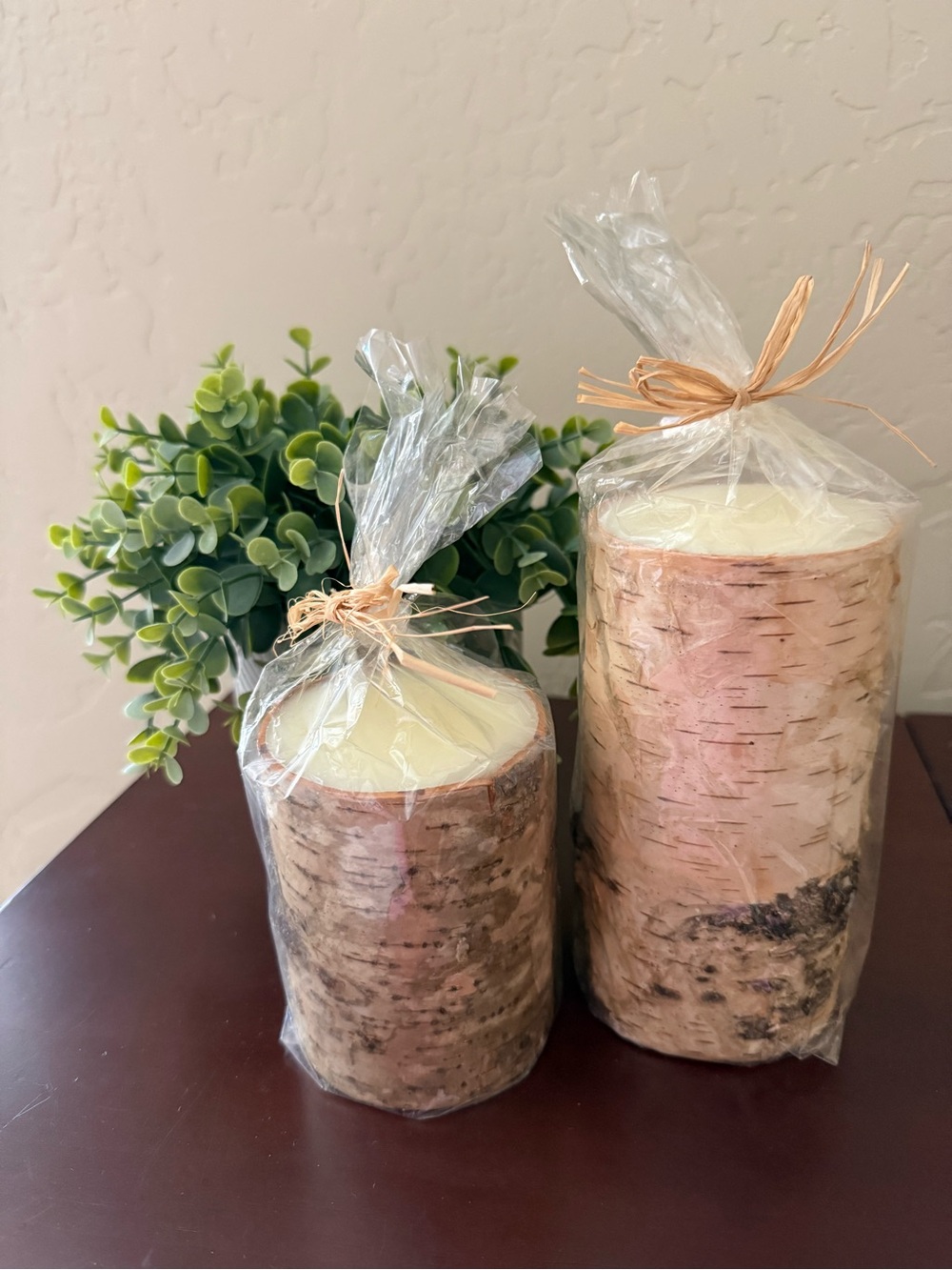 NWT Set of 2 Birch Pillar Candles